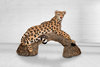 Leopard am Baumstamm (mit auswechselbarem Kern)